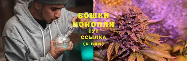 шишки Вязники